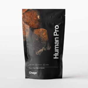 Human Pro Chaga szibériai gomba
