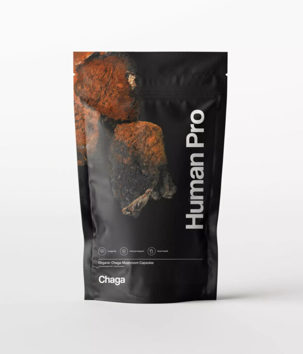 Human Pro Chaga szibériai gomba